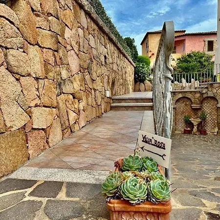 Rosa קניגיונה