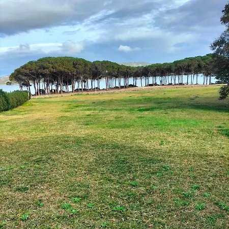 Rosa קניגיונה