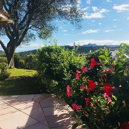 Rosa * Baja Sardinia